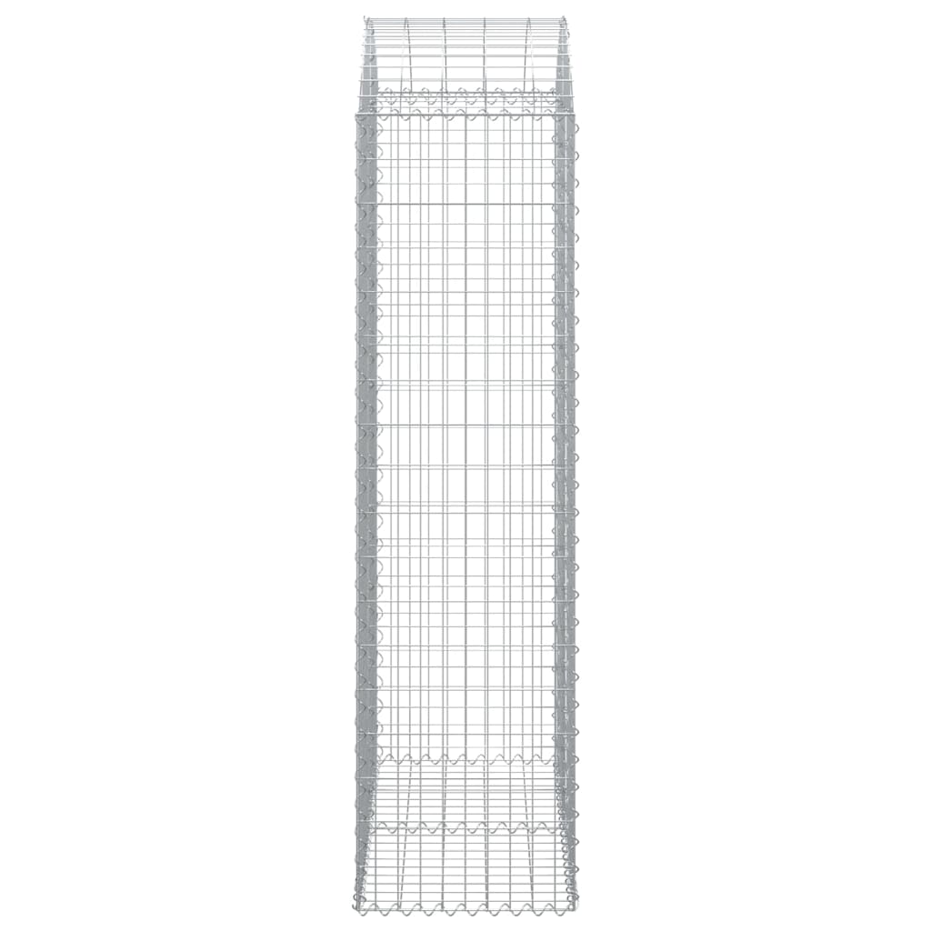 vidaXL Gabione mit Hochbogen 100x50x180/200 cm Verzinktes Eisen