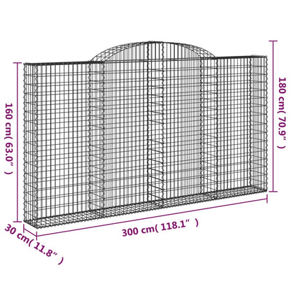 vidaXL Gabionenkorb mit Hochbogen 300x30x160/180 cm Fer galvanisé