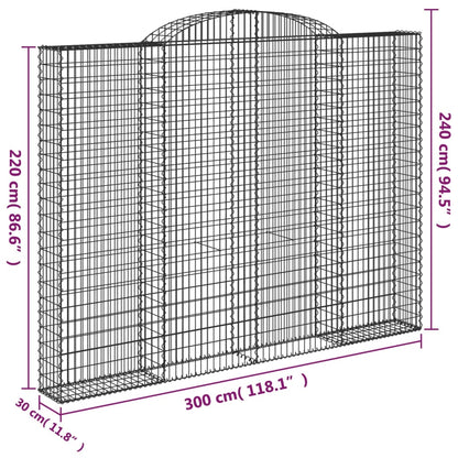 vidaXL Gabionenkorb mit Rundbogen 300x30x220/240 cm, Acier galvanisé