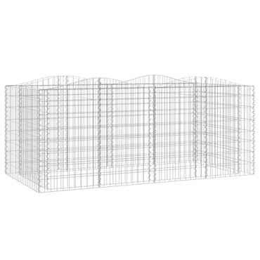 vidaXL Carré potager en gabions avec arche 200x100x100 cm Fer galvanisé