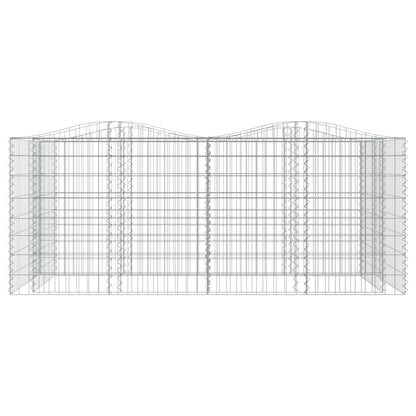 vidaXL Carré potager en gabions avec arche 200x100x100 cm Fer galvanisé