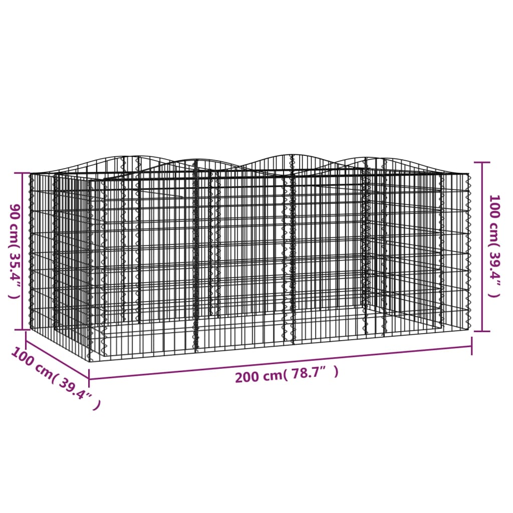 vidaXL Carré potager en gabions avec arche 200x100x100 cm Fer galvanisé