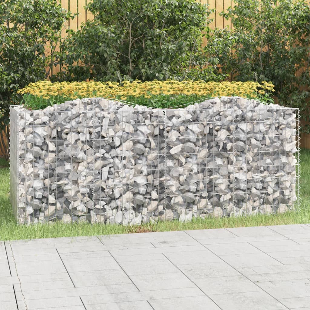 vidaXL Carré potager en gabions avec arche 200x100x100 cm Fer galvanisé