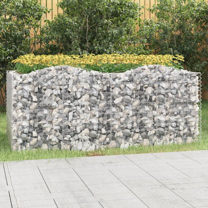 vidaXL Carré potager en gabions avec arche 200x100x100 cm Fer galvanisé