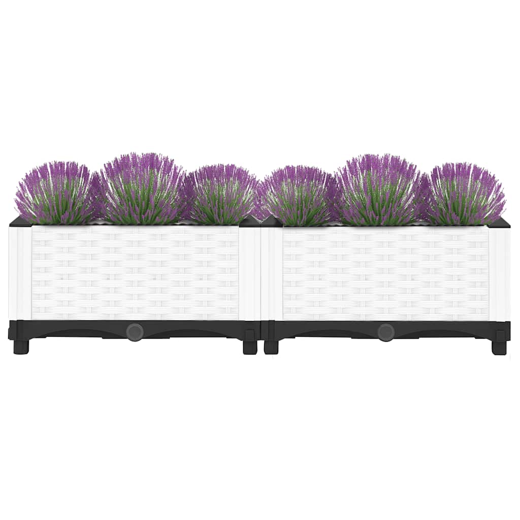vidaXL Carré potager 80x40x23 cm en polypropylène