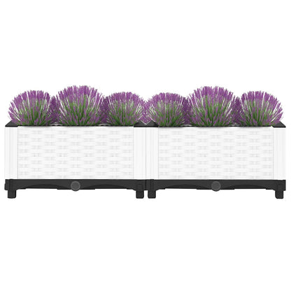 vidaXL Carré potager 80x40x23 cm en polypropylène