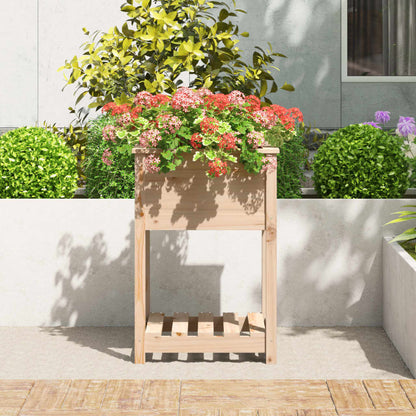 vidaXL Jardinière avec étagère 54x54x81 cm Pin massif