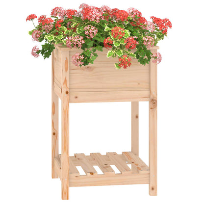 vidaXL Jardinière avec étagère 54x54x81 cm Pin massif