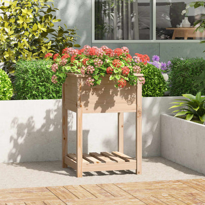 vidaXL Jardinière avec étagère 54x54x81 cm Pin massif