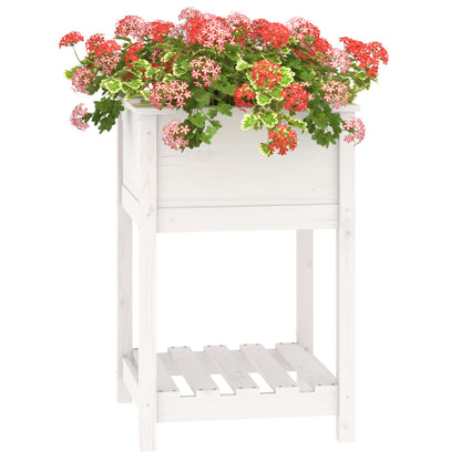 vidaXL Jardinière avec étagère Blanc 54x54x81 cm Pin massif