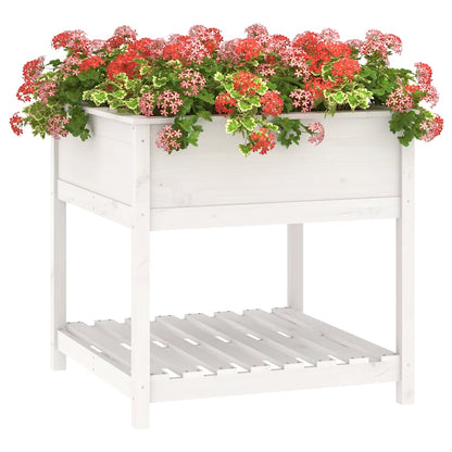 vidaXL Jardinière avec étagère Blanc 82,5x82,5x81 cm Bois de pin massif