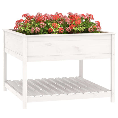 vidaXL Jardinière avec étagère Blanc 111,5x111,5x81 cm Bois de pin massif