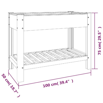 vidaXL Jardinière surélevée de jardin avec étagère Gris 100x50x75 cm WPC