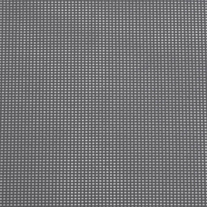 vidaXL Strandstühle 2 Stk. Klappbar Grau Aluminium und Textilene