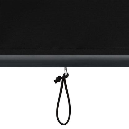 vidaXL Rollo mit Vorhängen Anthrazit 180 x 250 cm Stoff und Aluminium