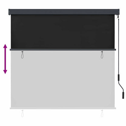 vidaXL Rollo mit Vorhängen Anthrazit 180 x 250 cm Stoff und Aluminium