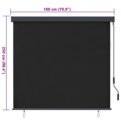 vidaXL Rollo mit Vorhängen Anthrazit 180 x 250 cm Stoff und Aluminium