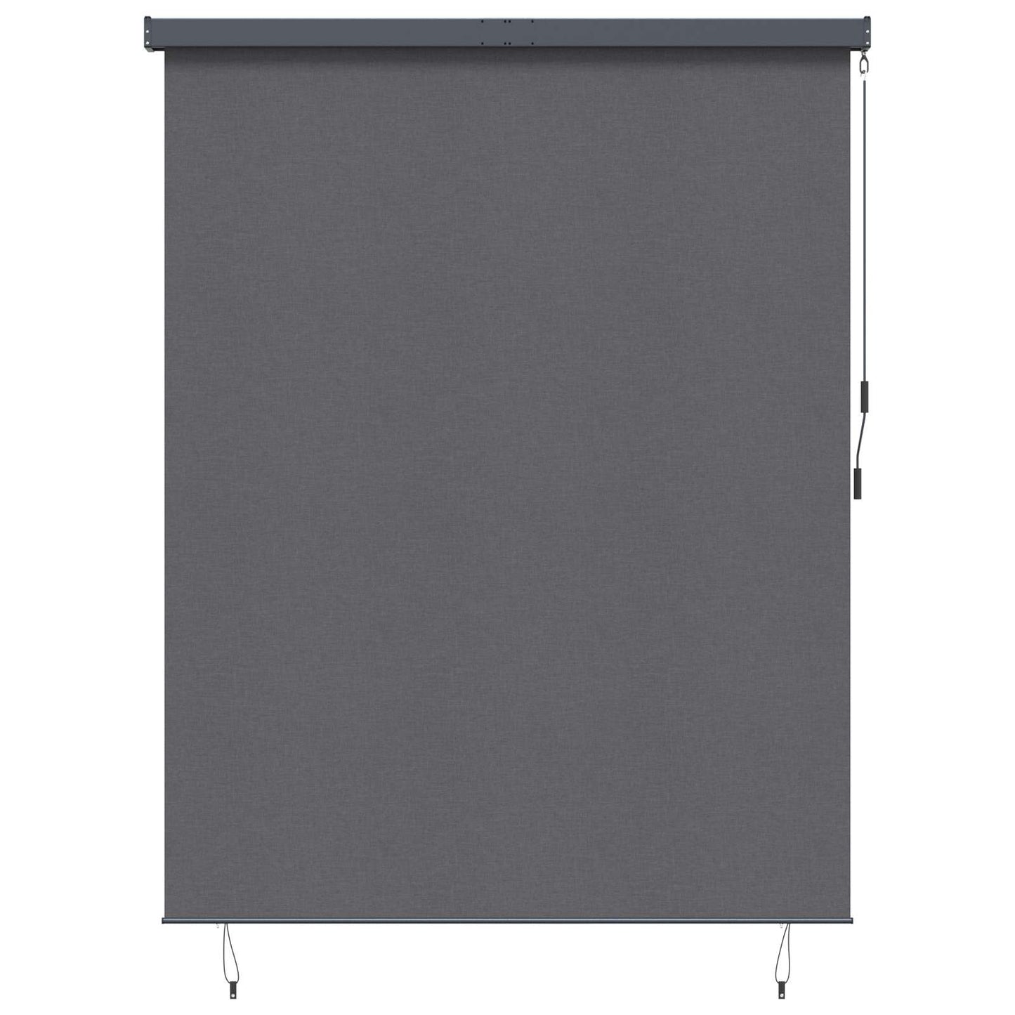 vidaXL Rollo mit Vorhängen Anthrazit 200 x 250 cm Stoff und Aluminium