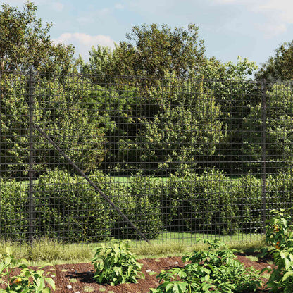 vidaXL Grillage Anthracite 1,6x10 m Acier galvanisé