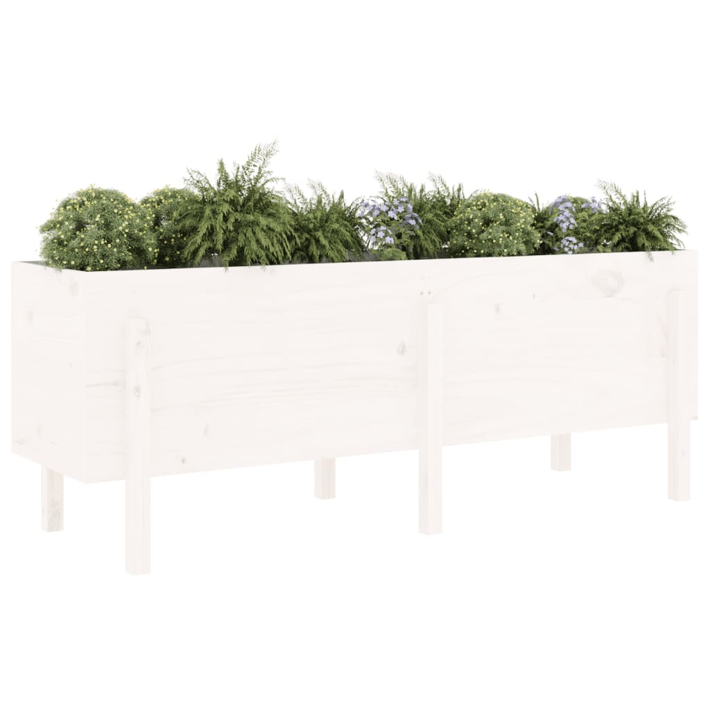 vidaXL Hochbeet Weiß 160x50x57 cm Massivholz Kiefer