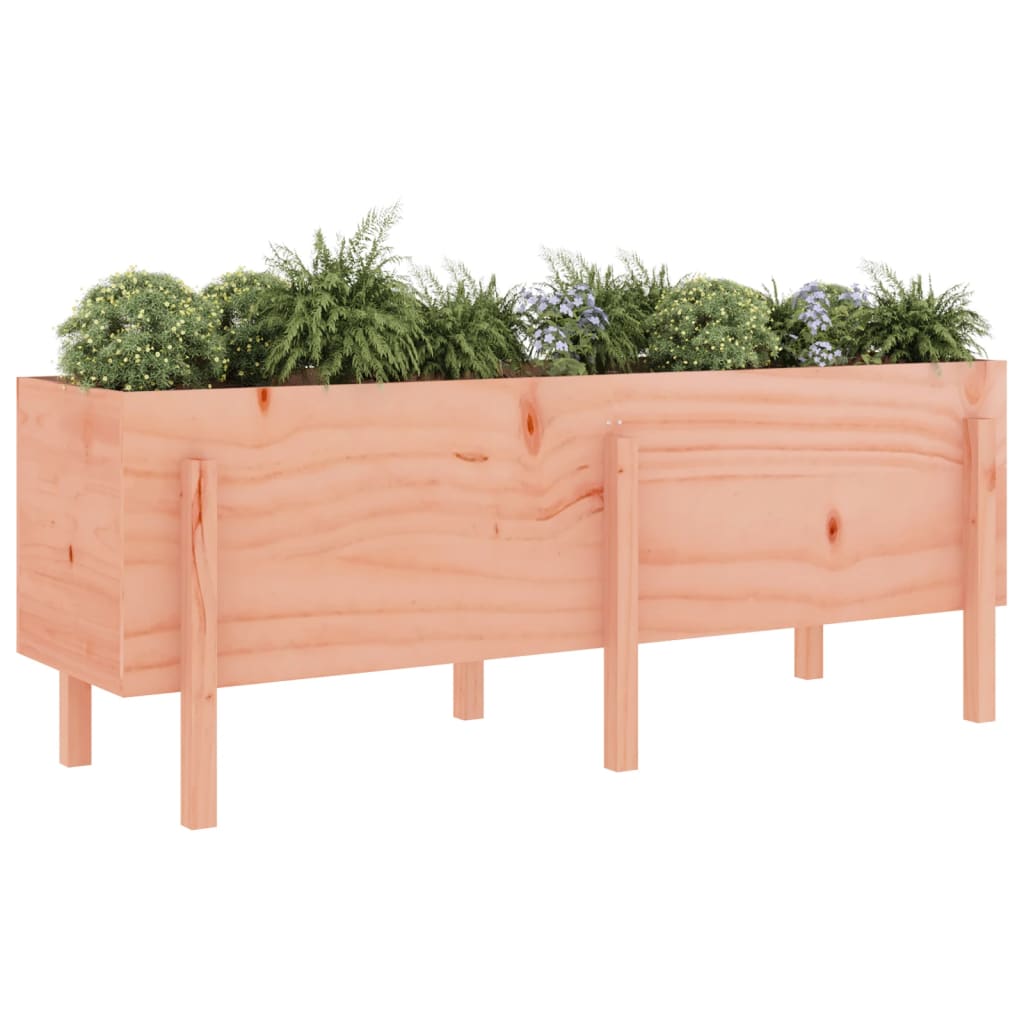 vidaXL Hochbeet 160x50x57 cm Massivholz Douglasie