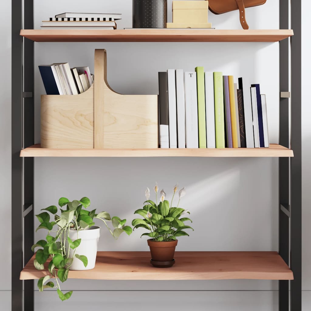 vidaXL Wandregal 100x50x2 cm Massivholz Eiche Unbehandelt