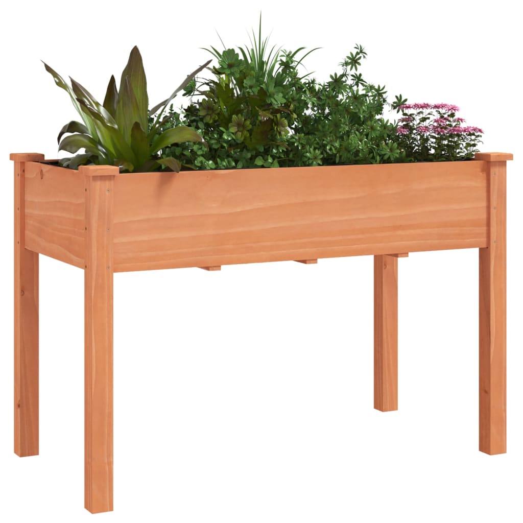 vidaXL Pflanzkübel mit Einsatz Braun 118x59x76 cm Massivholz Tanne