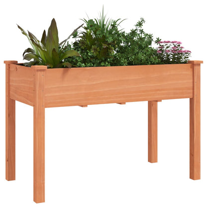 vidaXL Pflanzkübel mit Einsatz Braun 118x59x76 cm Massivholz Tanne