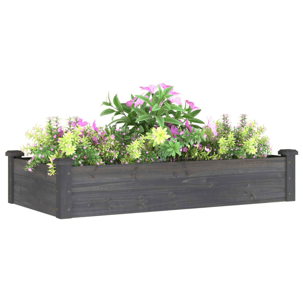 vidaXL Carré potager avec insert Gris 120x60x25 cm Bois de sapin massif
