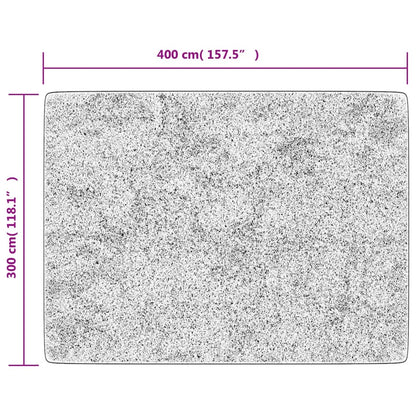 vidaXL Tapis Lavable Noir et Doré 400x300 cm Antidérapant