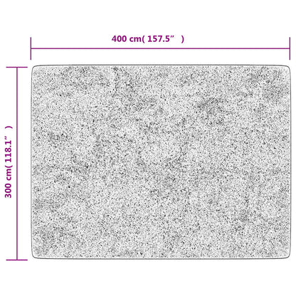 vidaXL Teppich Waschbar Grau 400x300 cm Rutschfest