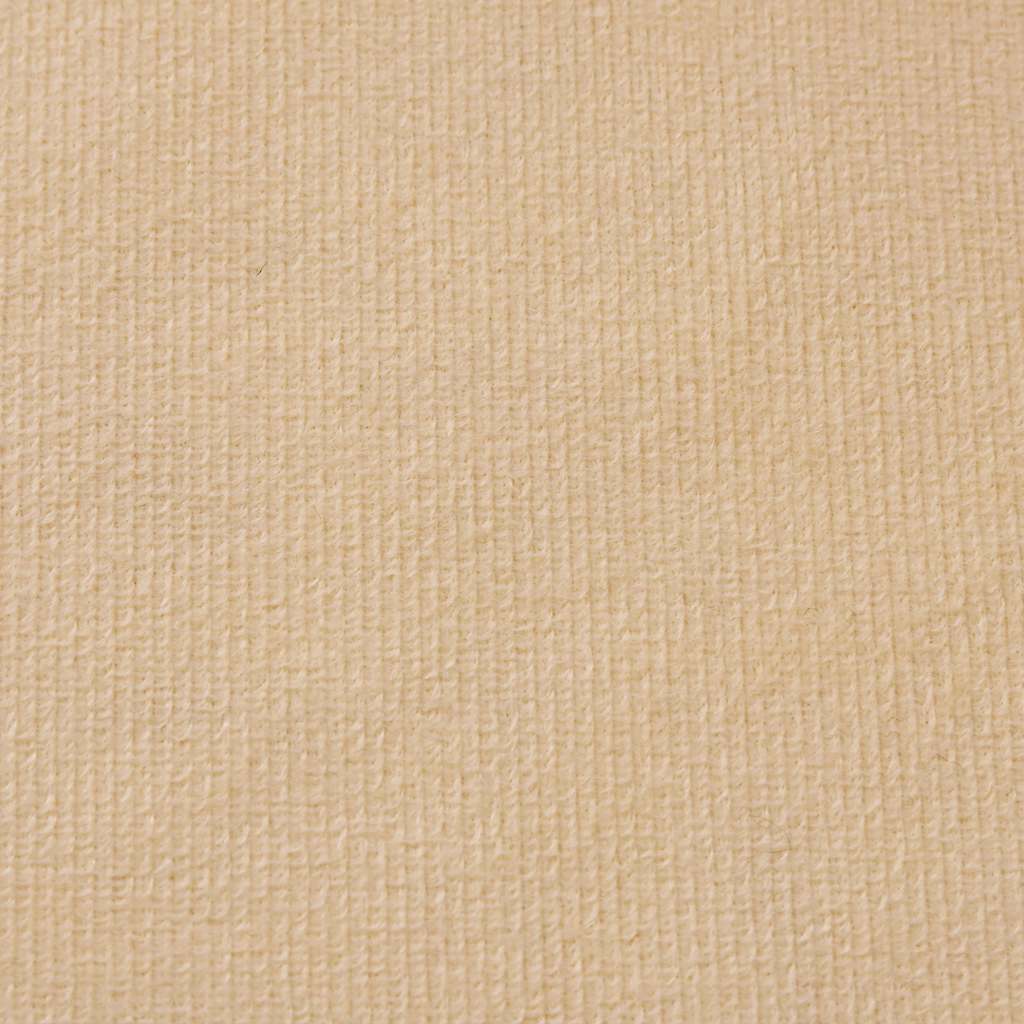 vidaXL Kinder-Schlafsofa 2-Sitzer Creme Weicher Plüsch