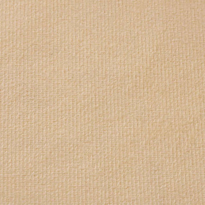 vidaXL Kinder-Schlafsofa 2-Sitzer Creme Weicher Plüsch