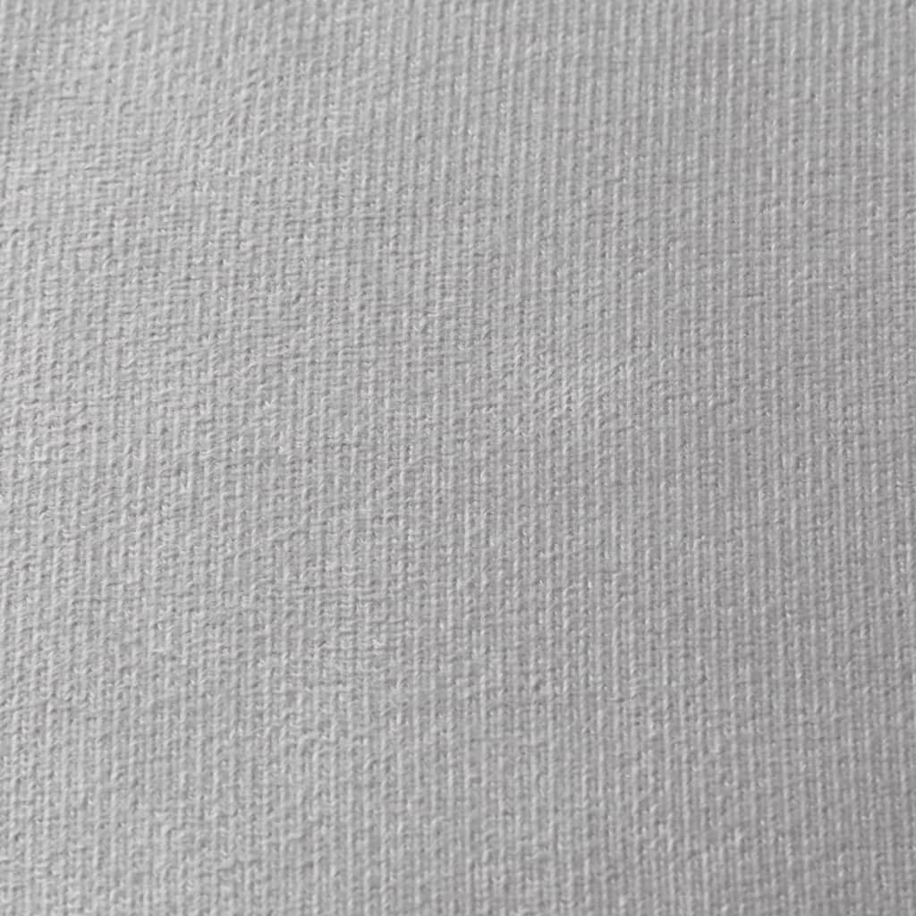 vidaXL Kinder-Schlafsofa 2-Sitzer Hellgrau Weicher Plüsch