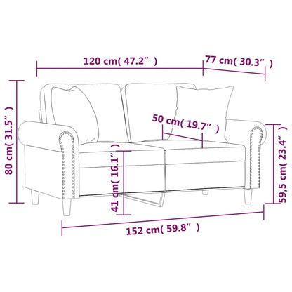 vidaXL 2-Sitzer-Sofa mit Zierkissen Braun 120 cm Samt