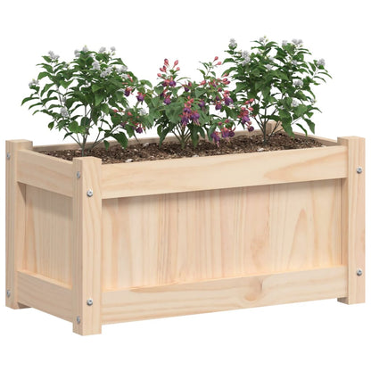 vidaXL Jardinière 60x31x31 cm Bois de pin massif