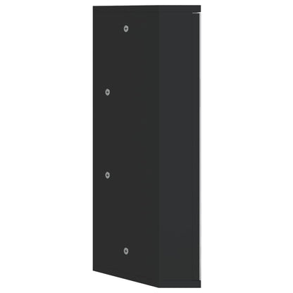 vidaXL Eck-Spiegelschrank Schwarz 30x24x60 cm