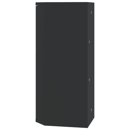 vidaXL Eck-Spiegelschrank Schwarz 30x24x60 cm