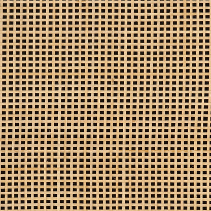 vidaXL TV-Schrank Schwarz 110x30x40 cm Massivholz Mango und Eisen