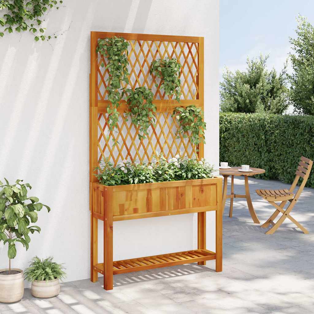 vidaXL Pflanzkübel mit Rankgitter & Ablage 100x32x185 cm Akazienholz