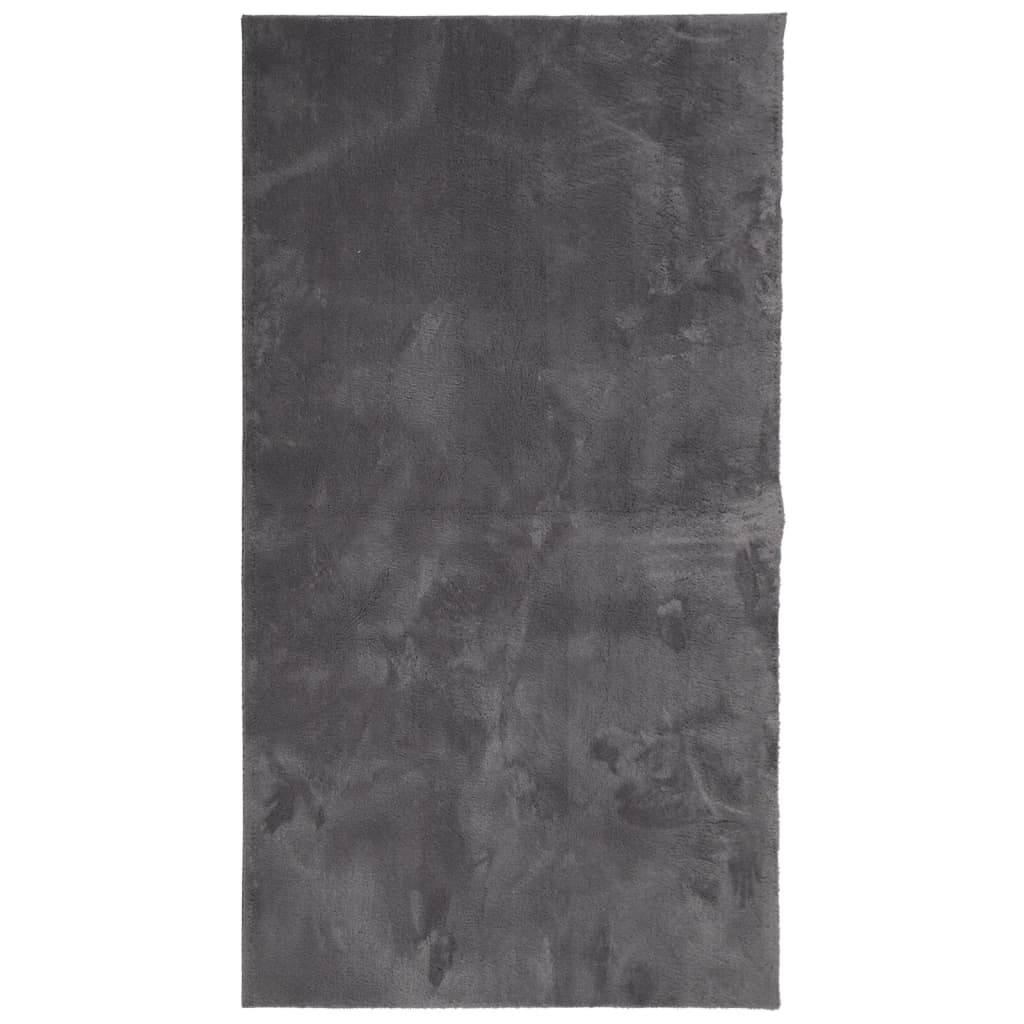 vidaXL Tapis HUARTE à poils courts doux et lavable anthracite 60x110 cm