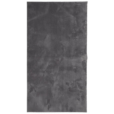 vidaXL Tapis HUARTE à poils courts doux et lavable anthracite 60x110 cm