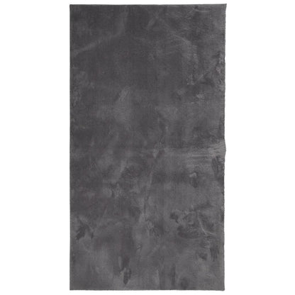 vidaXL Tapis HUARTE à poils courts doux et lavable anthracite 60x110 cm