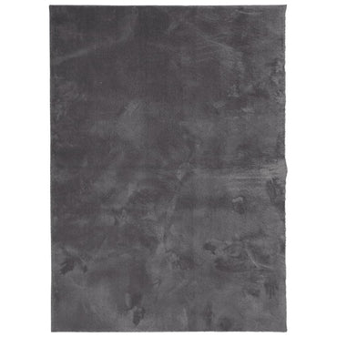 vidaXL Tapis HUARTE à poils ras doux et lavable anthracite 120x170 cm