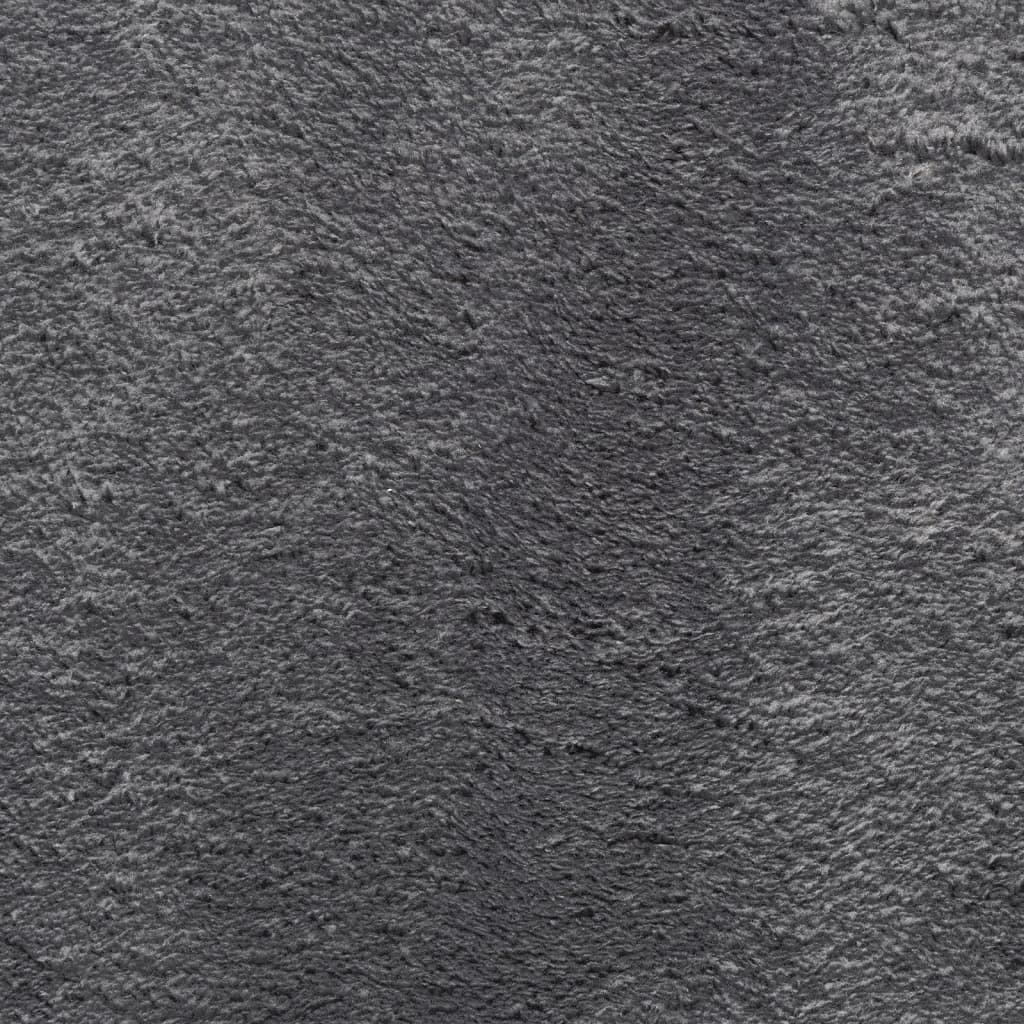 vidaXL Teppich HUARTE Kurzflor Weich und Waschbar Anthrazit 120x170 cm