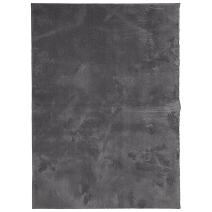 vidaXL Tapis HUARTE à poils courts, doux et lavable, anthracite 140x200 cm