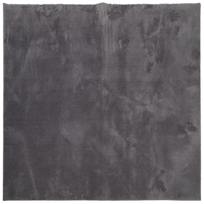 vidaXL Teppich HUARTE Kurzflor Weich und Waschbar Anthrazit 160x160 cm