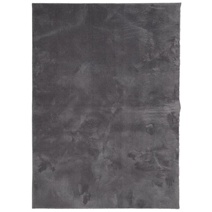 vidaXL Tapis HUARTE à poils courts, doux et lavable anthracite 200x280 cm