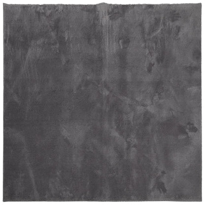 vidaXL Tapis HUARTE à poils courts doux et lavable anthracite 240x240 cm
