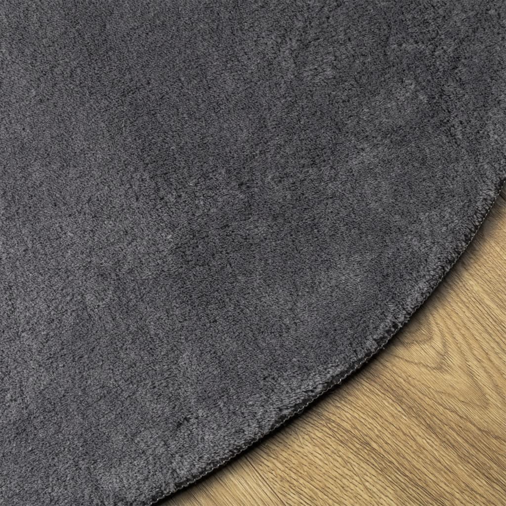 vidaXL Teppich HUARTE Kurzflor Weich und Waschbar Anthrazit Ø 100 cm
